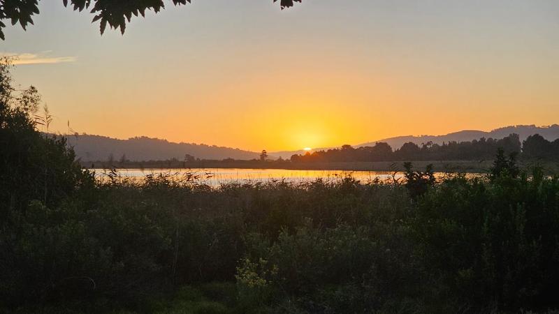 To Let 2 Bedroom Property for Rent in Swartvlei Western Cape